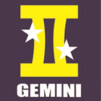 GEMINI INTERNATIONAL INDUSTRY Ltd